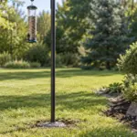 How to Install a Bird Feeder Pole in Your Yard