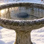 How to Keep a Bird Bath From Freezing in Winter